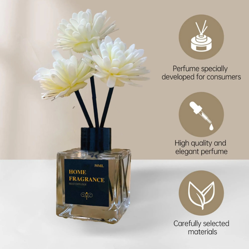 مجموعة معطرات جو بسعة 50 مل، ع - مراجعة Perfume La Fragrance وسعره