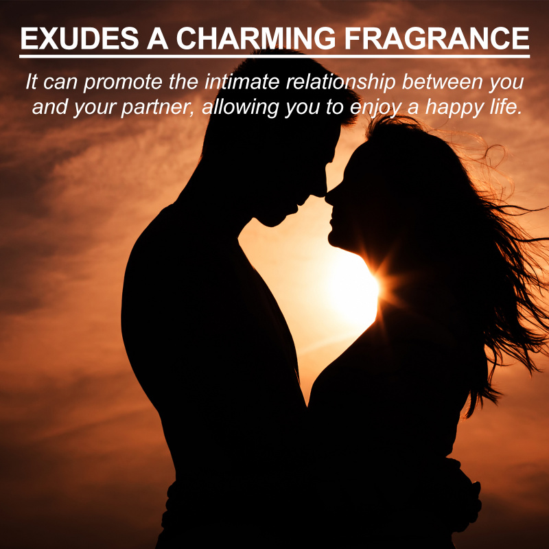 عطر روكسيليس للرجال برائحة خفي - مراجعة Perfume For Fragrance وسعره